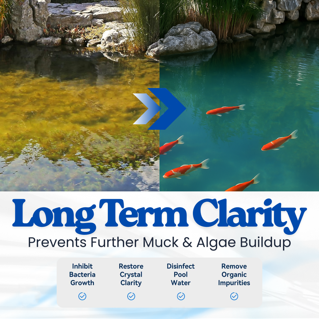 HomeCleanGoods™ Aqua-Guardian Pro Formula Clarifier