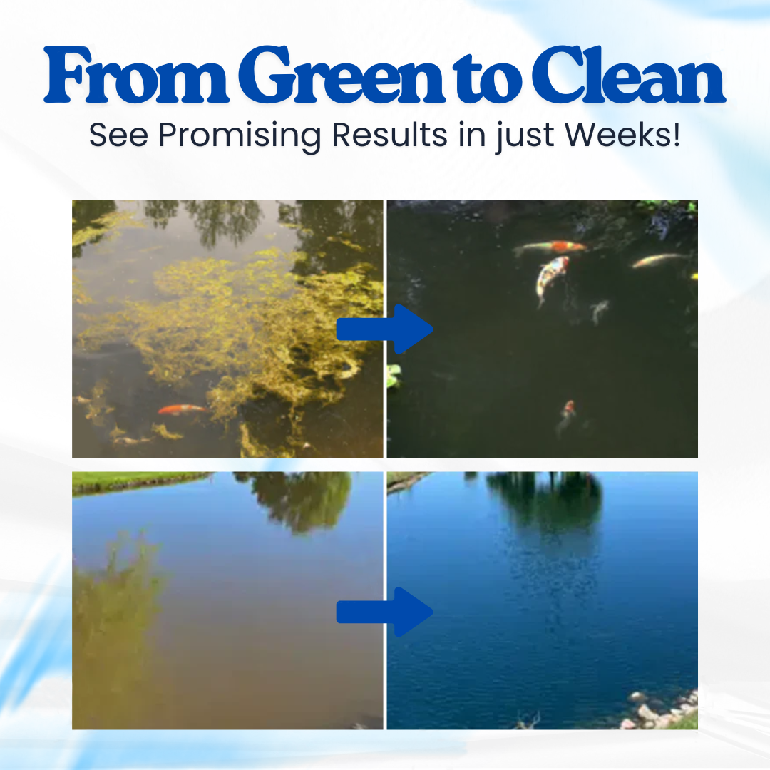 HomeCleanGoods™ Aqua-Guardian Pro Formula Clarifier