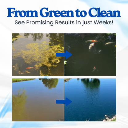 HomeCleanGoods™ Aqua-Guardian Pro Formula Clarifier