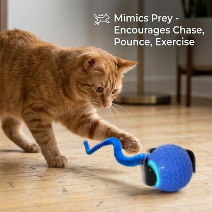 HomeCleanGoods™ KittyHunt AI Interactive Toy Ball
