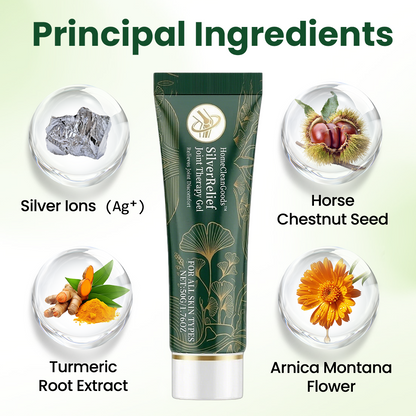 HomeCleanGoods™ SilverRelief Joint Therapy Gel