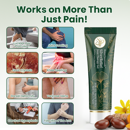 HomeCleanGoods™ SilverRelief Joint Therapy Gel