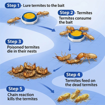 HomeCleanGoods™ Termite & Pest Control Bait Station